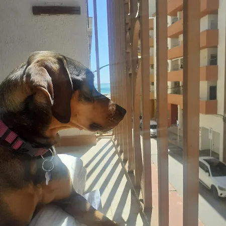 Playa Morrongo-pet Friendly Benicarló